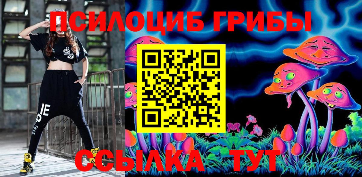 Галлюциногенные грибы Cubensis Кирово-Чепецк