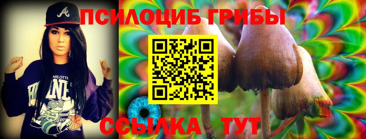 купить  цена  Галлюциногенные грибы мухоморы  Кирово-Чепецк  Вход с VPN  Галлюциногенные грибы Psilocybine cubensis 